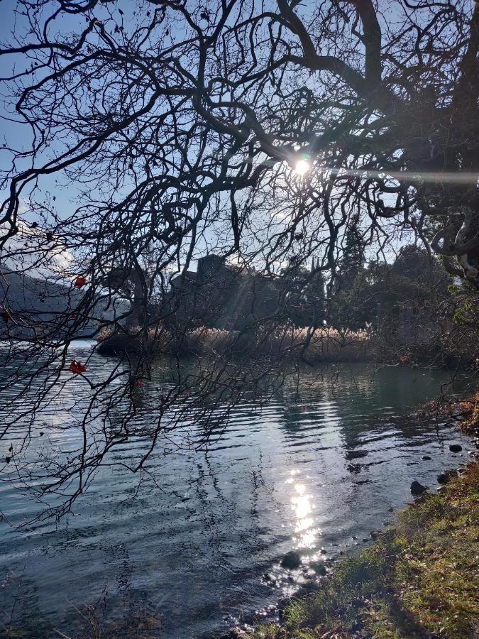 La Finestra Sul Brenta Leilighet Lasino Eksteriør bilde